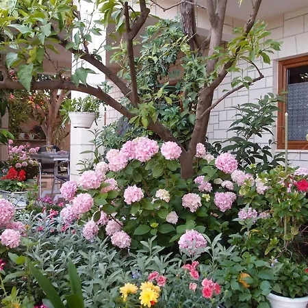 Mira Apartment *